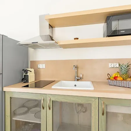 Belvedere Andros 公寓 *