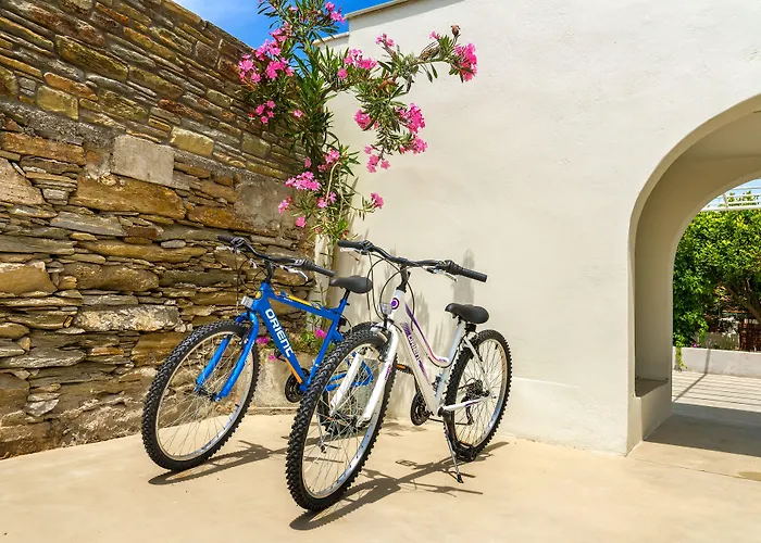 Belvedere Andros Lägenhet Batsi