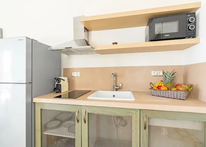 Belvedere Andros Lägenhet *