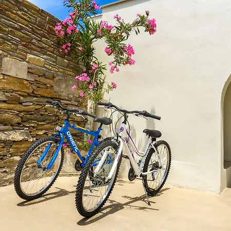 Belvedere Andros Διαμέρισμα Μπατσί