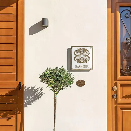 Belvedere Andros *